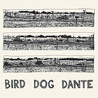 John Parish Bird Dog Dante CD