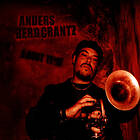 Anders Bergcrantz About CD