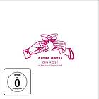 Ra Tempel Gin Rose CD