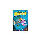 Warner Bros The Reef DVD [2007]
