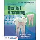 Woelfel's Dental Anatomy Enhanced Edition