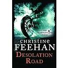 Christine Feehan: Desolation Road