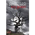 Kit Berry: Shadows at Stonewylde