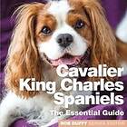Rob Duffy: Cavalier Charles Spaniels
