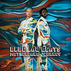 Blue Lab Beats Motherland Journey CD