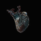 Seamus Blake Guardians Of The Heart Machine CD