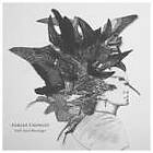 Adrian Crowley Eyed Messenger LP