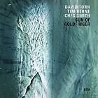 Torn Sun Of Goldfinger CD