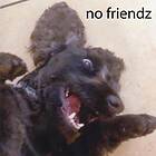 Chupa Cabra/No Friendz LP