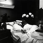 Antony And The Johnsons I Am A Bird Now CD