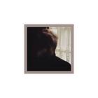 Palace (Music, Songs, Brothers) Days In The Wake LP