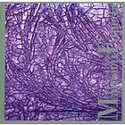 Jazz Fujieda: Patterns Of Plants CD