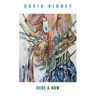 David Binney - Here & Now LP