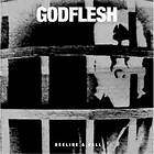 Godflesh Decline & Fall CD