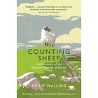 Philip Walling: Counting Sheep