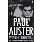 Paul Auster: Winter Journal