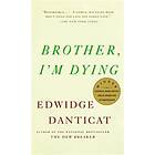 Edwidge Danticat: Brother, I'M Dying