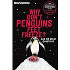 New Scientist: Why Don't Penguins' Feet Freeze?