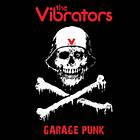 The Vibrators Garage Punk LP
