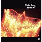 Chris Bangs Firebird LP