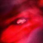 Saffronkeira The Faded Orbit LP