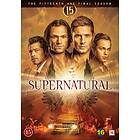Supernatural Säsong 15 (DVD)