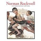 Christopher Finch: Norman Rockwell