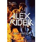 Anthony Horowitz: Alex Rider, Band 6: Ark Angel