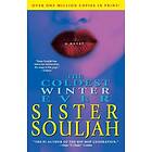 Sister Souljah: The Coldest Winter Ever