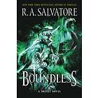 R A Salvatore: Boundless