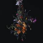 Brave Nature Morte LP