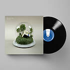 Big Picture LP