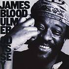 James Blood Ulmer LP