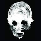 Daughters You Won't What Want LP