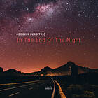 Oddgeir Berg Trio In The End Of Night LP