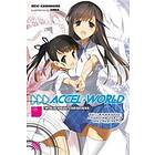 Reki Kawahara, Reki Kawahara: Accel World, Vol. 18 (light novel)