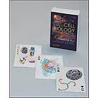 Thomas D Pollard: Cell Biology Playing Cards