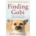 Dion Leonard: Finding Gobi (Main edition)