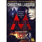 Christina Larsson: Ur askan i elden