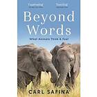 Carl Safina: Beyond Words