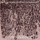 Natural Information Society & Bitchin Bajas Automaginary LP