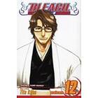 Tite Kubo: Bleach, Vol. 12