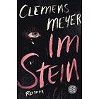 Clemens Meyer: Im Stein