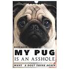 Matt Shaw: My Pug is an Asshole