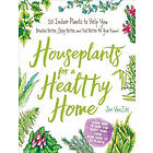 Jon VanZile: Houseplants for a Healthy Home