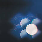 Mutual Thunder Follows The Light LP