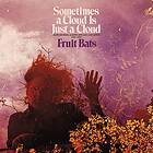 Fruit Bats Sometimes A Cloud Is Just Cloud: Slow Growers, Sleeper Hits And Lost Songs (2001–2021) Limited E LP