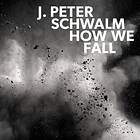 J. Peter Schwalm How We Fall LP