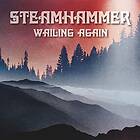 Steamhammer Wailing Again LP