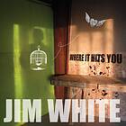 Jim White Where It Hits You LP